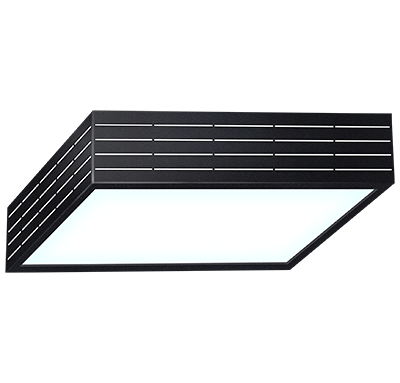 KRAU 2325